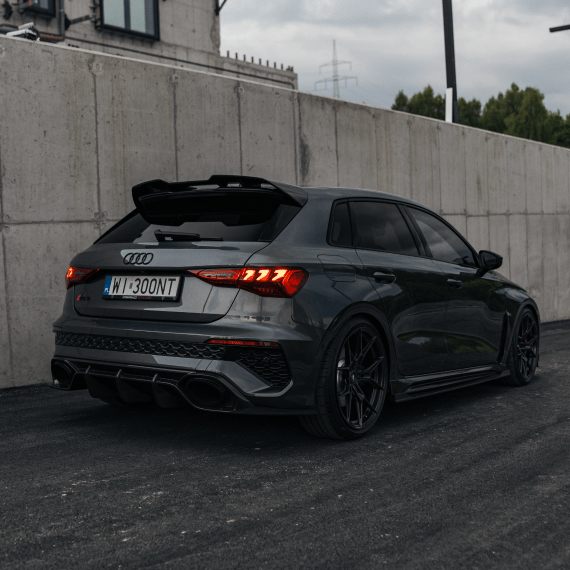 Felgi WF / hamulce — Audi RS 3